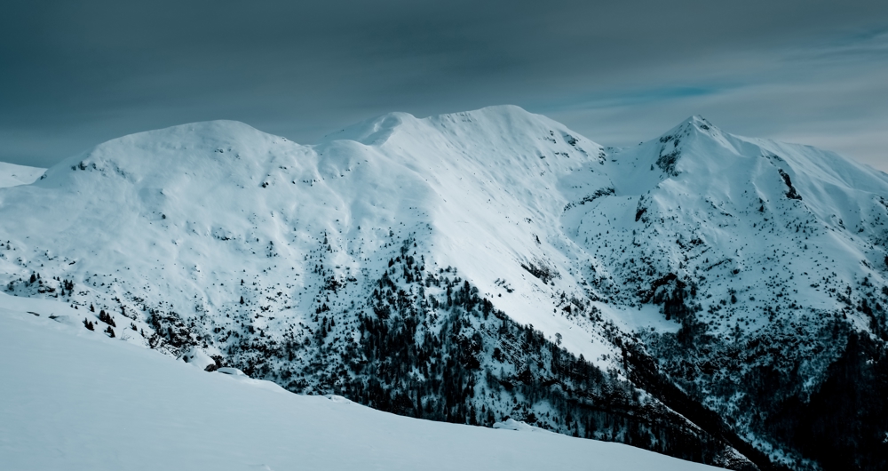 Panoramic Shot Snow Covered Mountain Peaks With Alpine Trees (1)